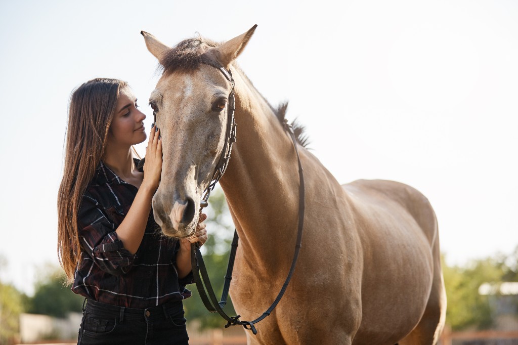 Contato cuidadoso entre pessoa e cavalo